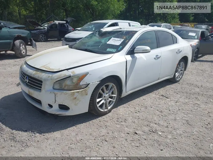 2011 Nissan Maxima 3.5 Sv VIN: 1N4AA5AP8BC867891 Lot: 45662688