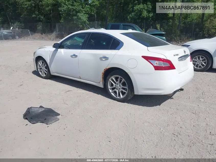 2011 Nissan Maxima 3.5 Sv VIN: 1N4AA5AP8BC867891 Lot: 45662688