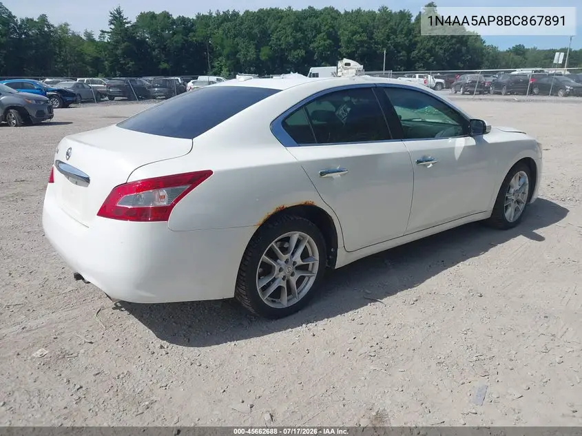 2011 Nissan Maxima 3.5 Sv VIN: 1N4AA5AP8BC867891 Lot: 45662688