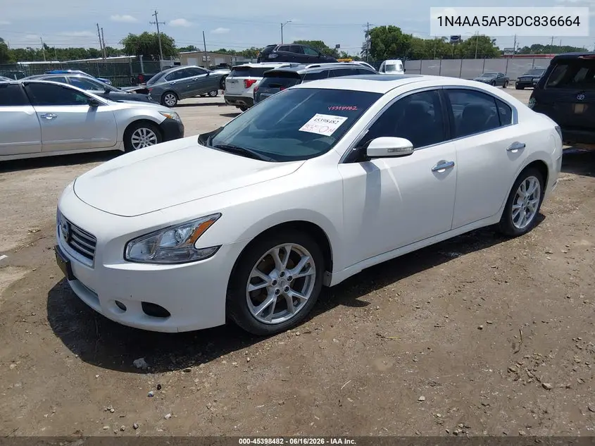 2013 Nissan Maxima 3.5 Sv VIN: 1N4AA5AP3DC836664 Lot: 45398482
