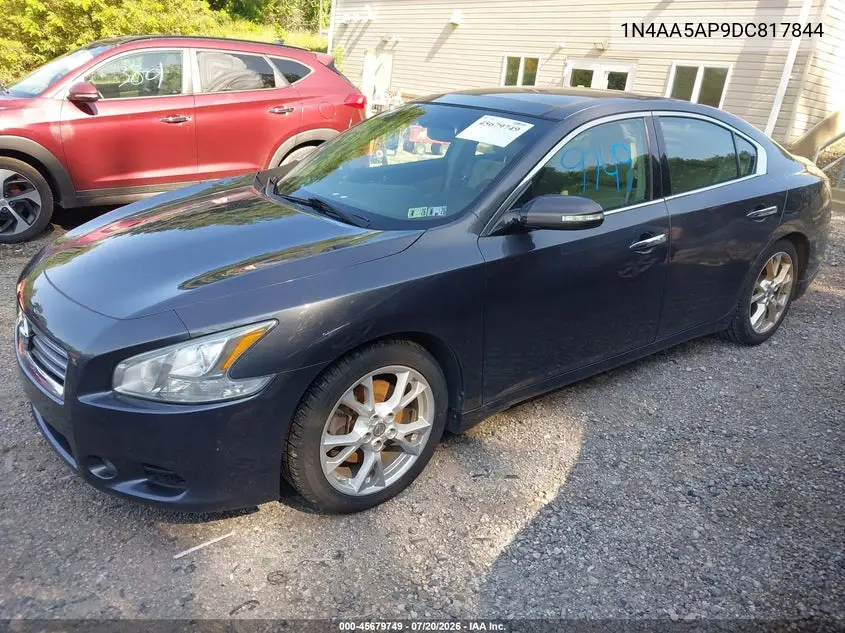 2013 Nissan Maxima 3.5 Sv VIN: 1N4AA5AP9DC817844 Lot: 45679749