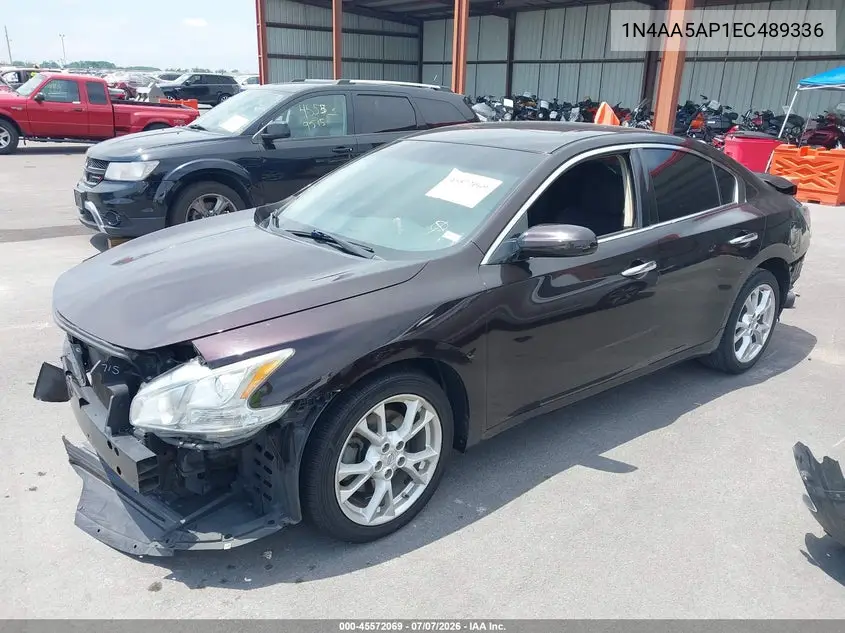 2014 Nissan Maxima 3.5 S/3.5 Sv VIN: 1N4AA5AP1EC489336 Lot: 45572069