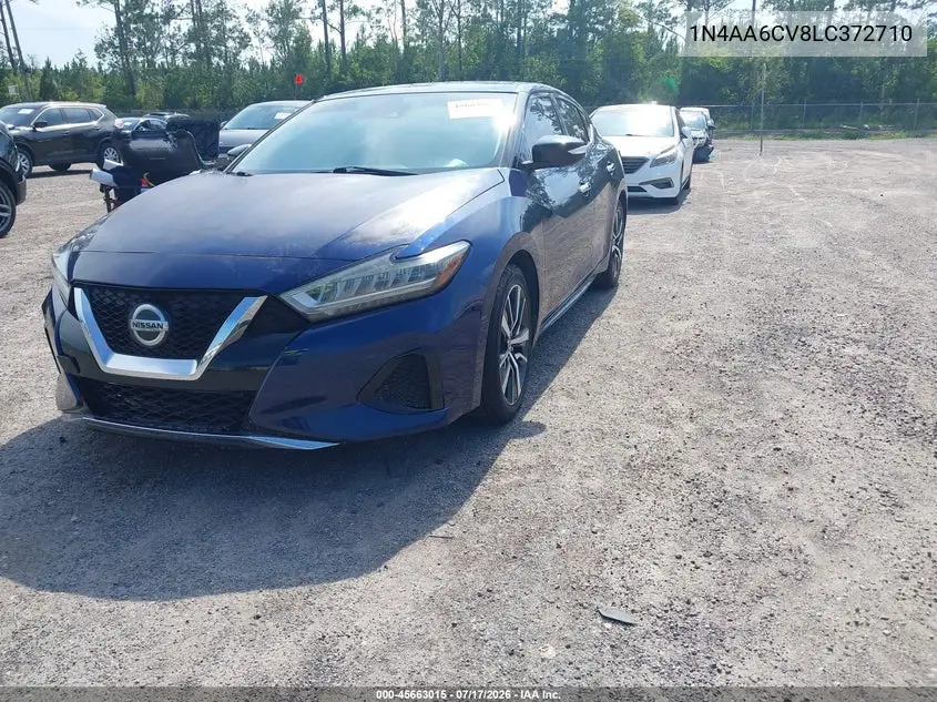2020 Nissan Maxima Sv Xtronic Cvt VIN: 1N4AA6CV8LC372710 Lot: 45663015