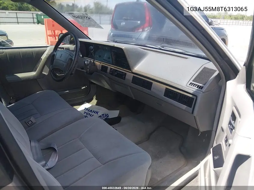 1996 Oldsmobile Ciera Sl VIN: 1G3AJ55M8T6313065 Lot: 45532649