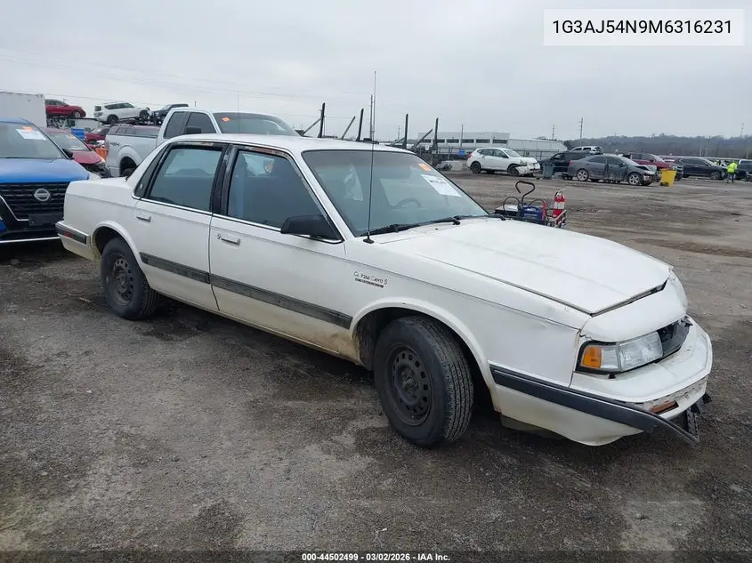 1991 Oldsmobile Cutlass Ciera S VIN: 1G3AJ54N9M6316231 Lot: 44502499