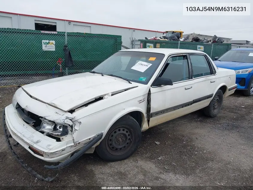 1991 Oldsmobile Cutlass Ciera S VIN: 1G3AJ54N9M6316231 Lot: 44502499
