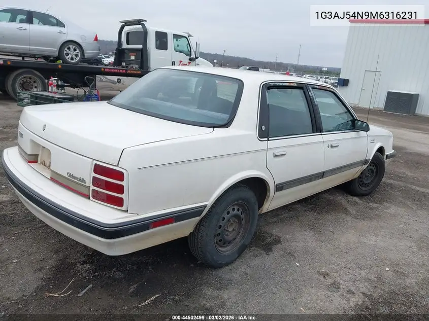 1991 Oldsmobile Cutlass Ciera S VIN: 1G3AJ54N9M6316231 Lot: 44502499