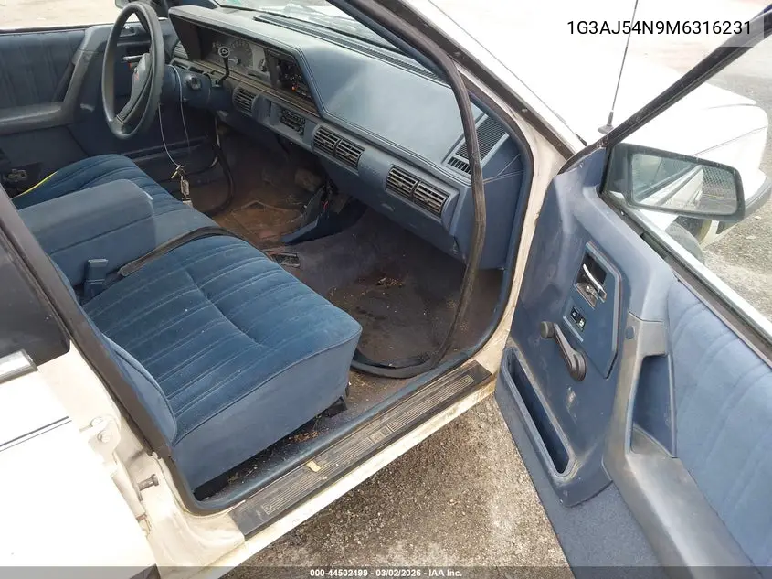 1991 Oldsmobile Cutlass Ciera S VIN: 1G3AJ54N9M6316231 Lot: 44502499