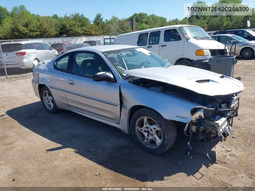 2002 Pontiac Grand Am Gt VIN: 1G2NW12E62C256300 Lot: 45143642