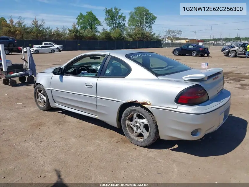 2002 Pontiac Grand Am Gt VIN: 1G2NW12E62C256300 Lot: 45143642