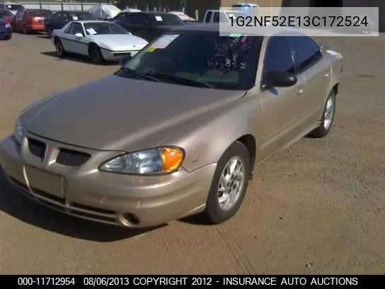 2003 Pontiac Grand Am Se1 VIN: 1G2NF52E13C172524 Lot: 11712954