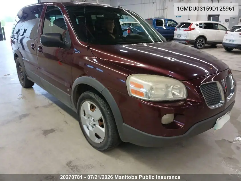 2009 Pontiac Montana Sv6 VIN: 1GMDU03159D125961 Lot: 20270781