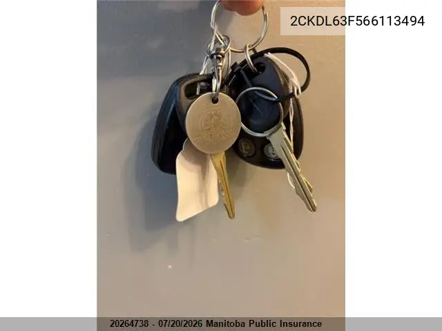 2006 Pontiac Torrent Sport VIN: 2CKDL63F566113494 Lot: 20264738