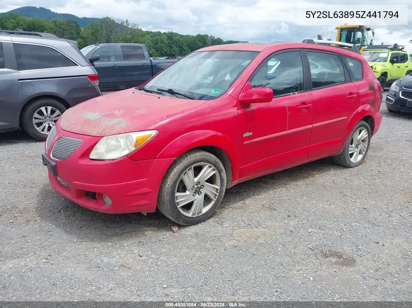 2005 Pontiac Vibe VIN: 5Y2SL63895Z441794 Lot: 45351084