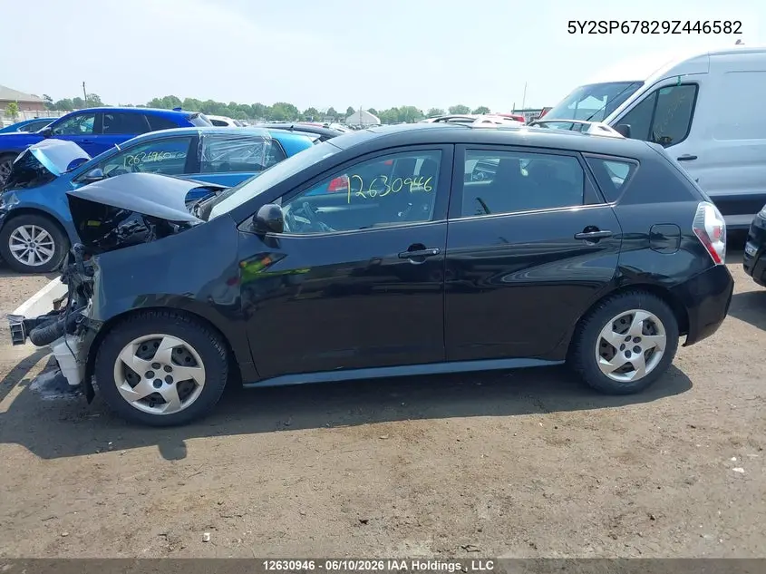 2009 Pontiac Vibe VIN: 5Y2SP67829Z446582 Lot: 12630946