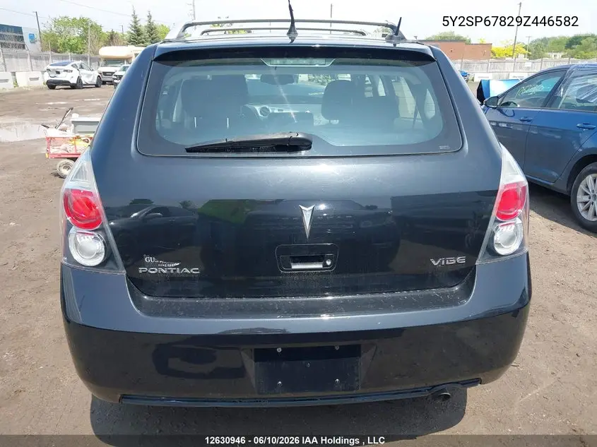 2009 Pontiac Vibe VIN: 5Y2SP67829Z446582 Lot: 12630946