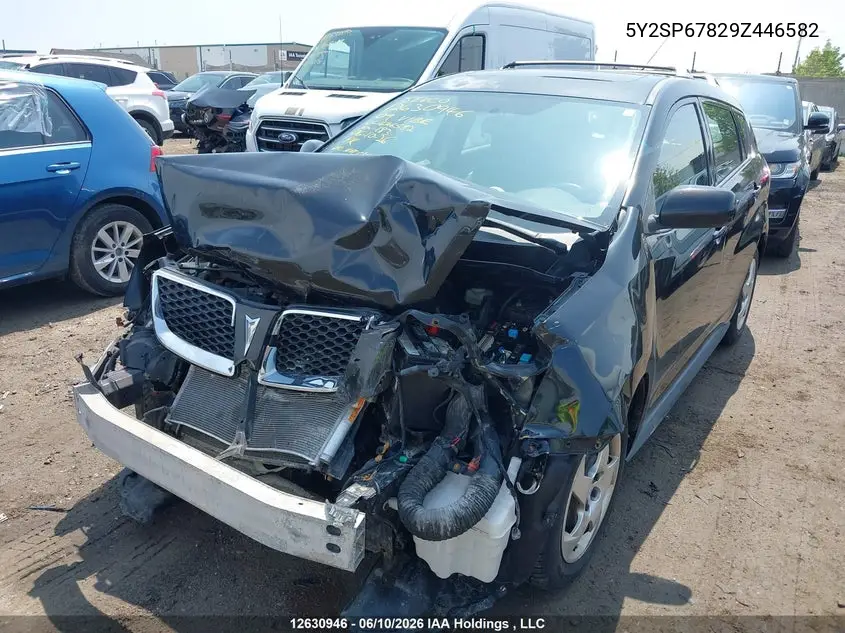 2009 Pontiac Vibe VIN: 5Y2SP67829Z446582 Lot: 12630946