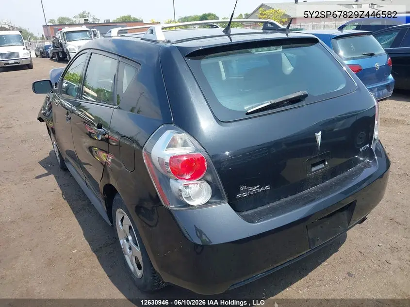 2009 Pontiac Vibe VIN: 5Y2SP67829Z446582 Lot: 12630946