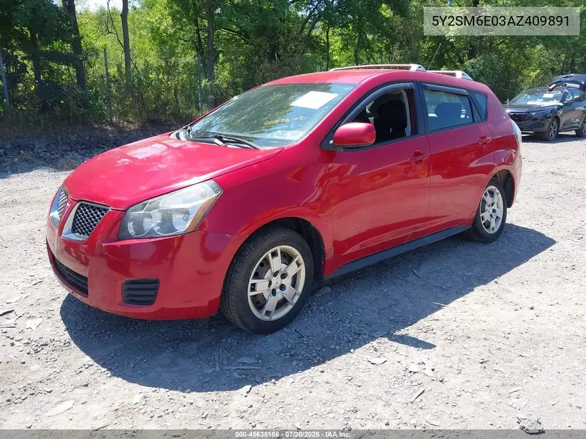 2010 Pontiac Vibe VIN: 5Y2SM6E03AZ409891 Lot: 45638108