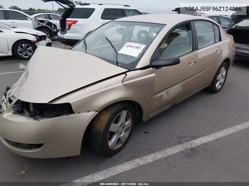 2006 Saturn Ion 2 VIN: 1G8AJ55F96Z124066 Lot: 45065503