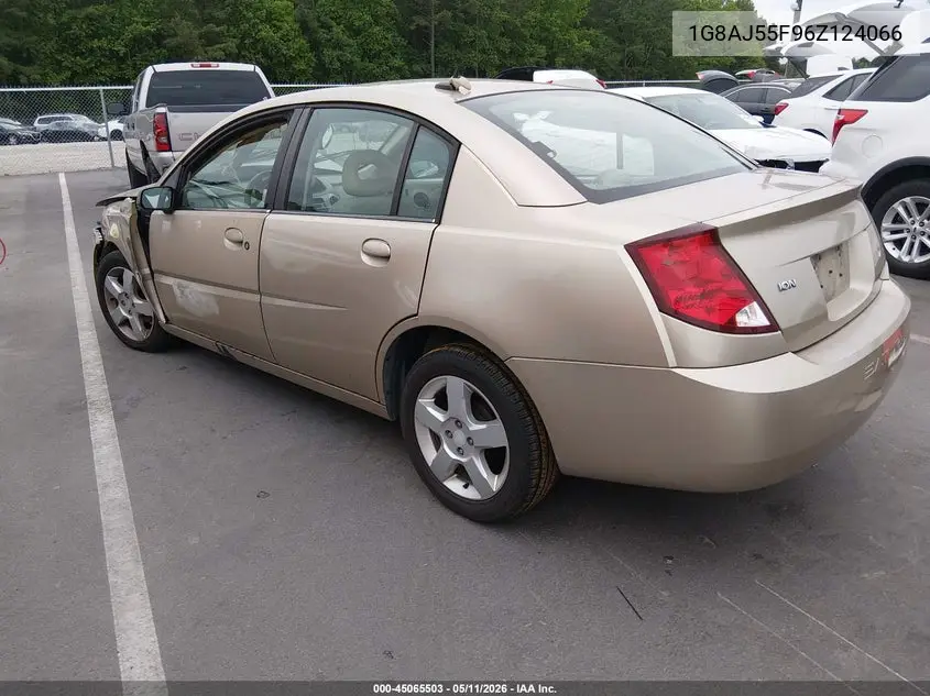 2006 Saturn Ion 2 VIN: 1G8AJ55F96Z124066 Lot: 45065503