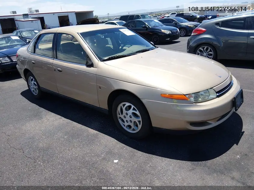 2002 Saturn L-Series L200 VIN: 1G8JU54F22Y556314 Lot: 45367380