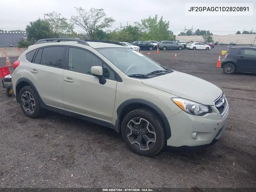 2013 Subaru Xv Crosstrek 2.0I Limited VIN: JF2GPAGC1D2820891 Lot: 45557304
