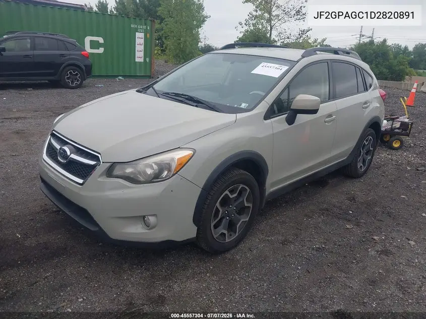 2013 Subaru Xv Crosstrek 2.0I Limited VIN: JF2GPAGC1D2820891 Lot: 45557304