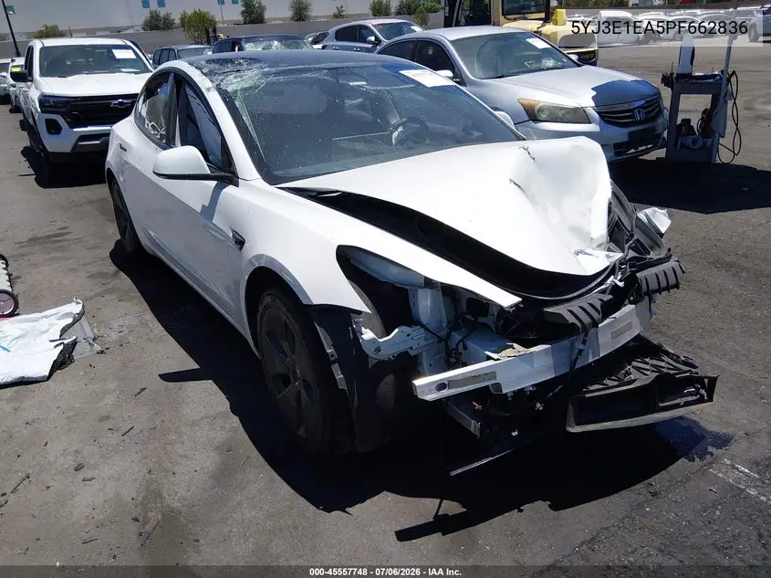 2023 Tesla Model 3 Rear-Wheel Drive VIN: 5YJ3E1EA5PF662836 Lot: 45557748