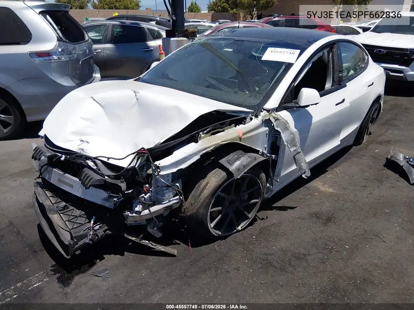 2023 Tesla Model 3 Rear-Wheel Drive VIN: 5YJ3E1EA5PF662836 Lot: 45557748