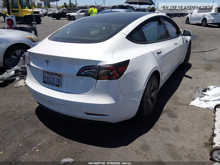 2023 Tesla Model 3 Rear-Wheel Drive VIN: 5YJ3E1EA5PF662836 Lot: 45557748