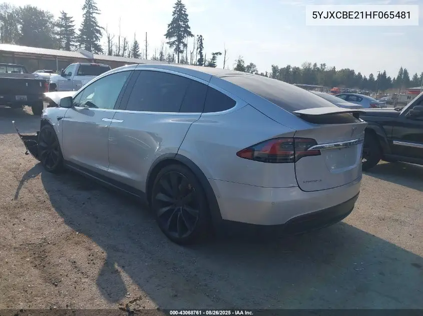 5YJXCBE21HF065481 2017 Tesla Model X 100D/75D/90D