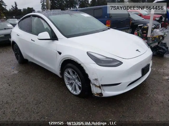 2022 Tesla Model Y VIN: 7SAYGDEE3NF564456 Lot: 12591525