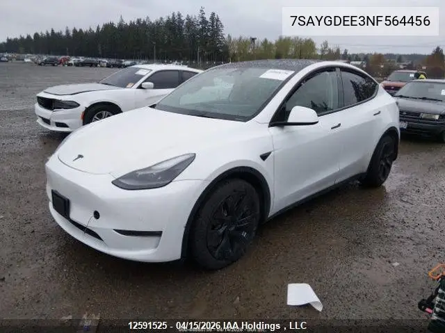 2022 Tesla Model Y VIN: 7SAYGDEE3NF564456 Lot: 12591525