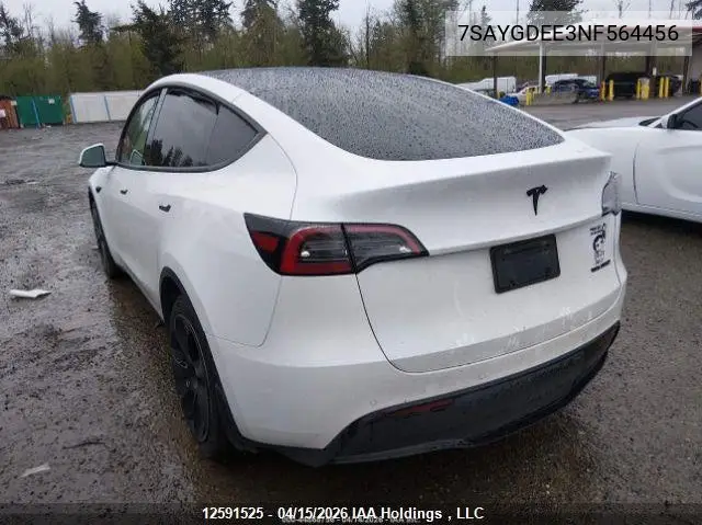 2022 Tesla Model Y VIN: 7SAYGDEE3NF564456 Lot: 12591525