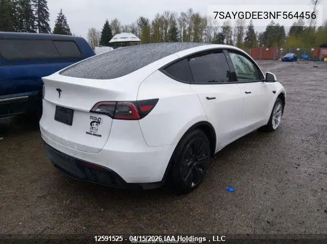 2022 Tesla Model Y VIN: 7SAYGDEE3NF564456 Lot: 12591525