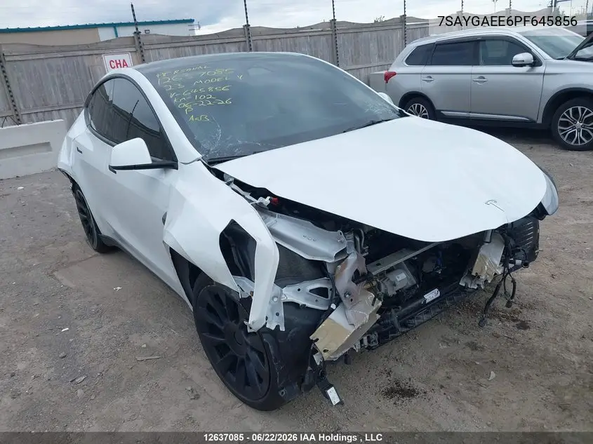 2023 Tesla Model Y VIN: 7SAYGAEE6PF645856 Lot: 12637085
