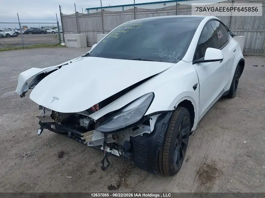 2023 Tesla Model Y VIN: 7SAYGAEE6PF645856 Lot: 12637085