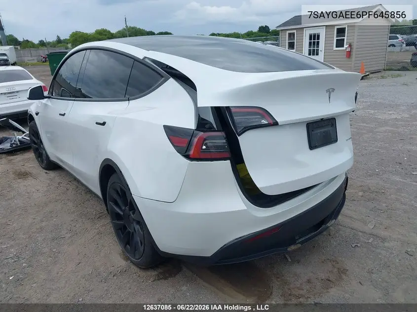 2023 Tesla Model Y VIN: 7SAYGAEE6PF645856 Lot: 12637085