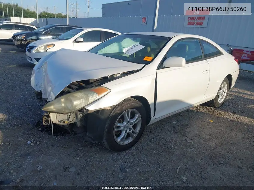2006 Toyota Camry Solara Se VIN: 4T1CE38P66U750260 Lot: 45503394