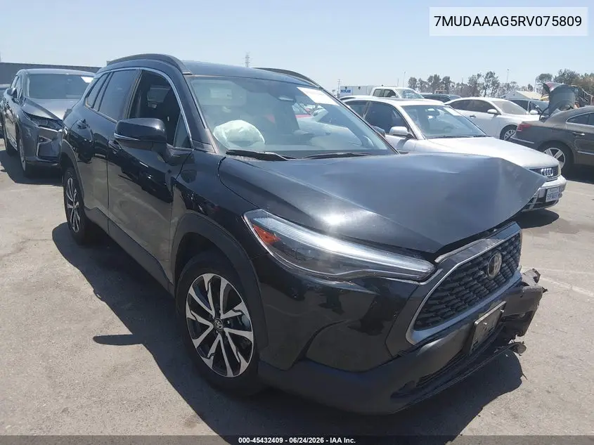 2024 Toyota Corolla Cross Xle VIN: 7MUDAAAG5RV075809 Lot: 45432409