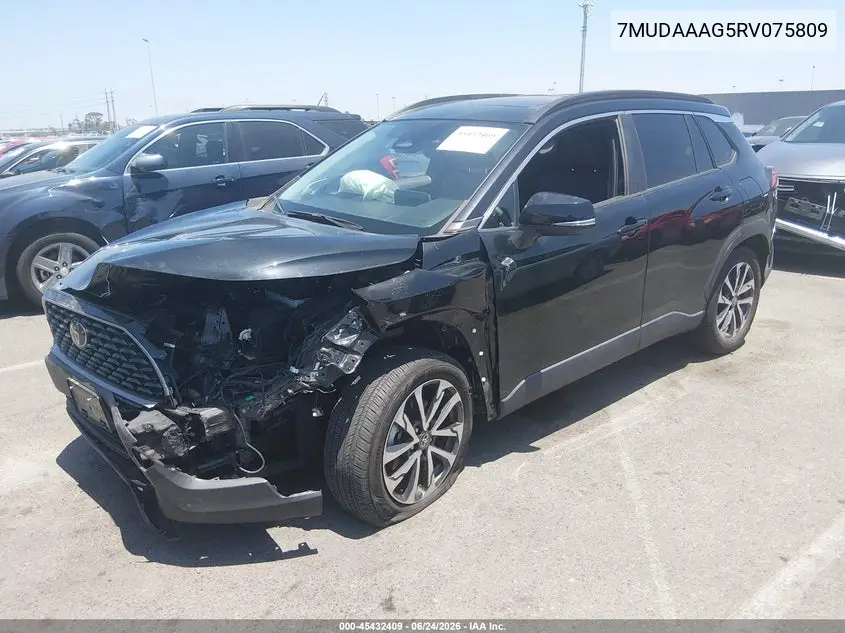 2024 Toyota Corolla Cross Xle VIN: 7MUDAAAG5RV075809 Lot: 45432409