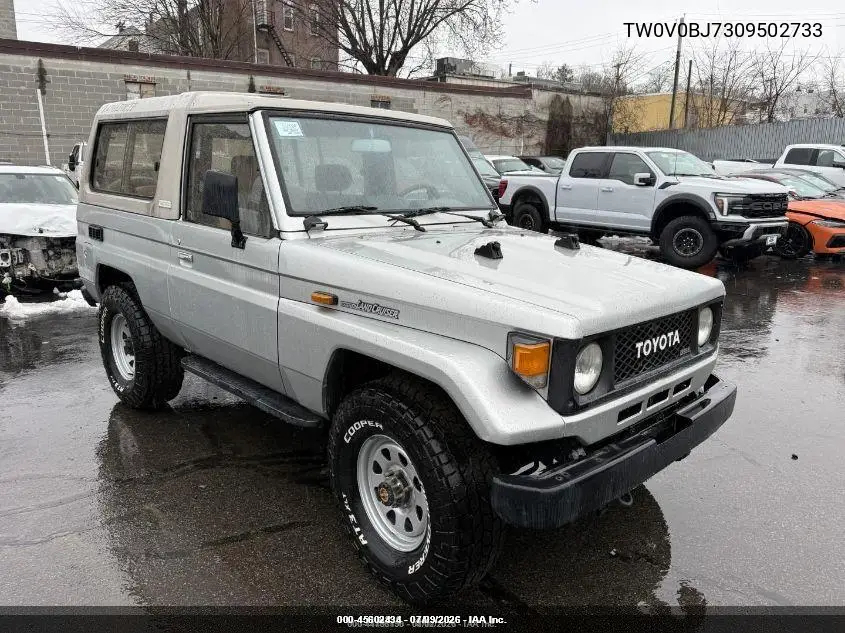 1989 Toyota Landcruiser VIN: TW0V0BJ7309502733 Lot: 45602434