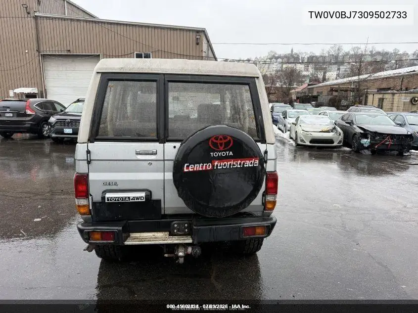 1989 Toyota Landcruiser VIN: TW0V0BJ7309502733 Lot: 45602434