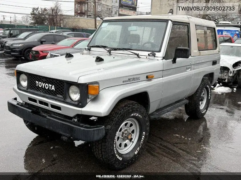 1989 Toyota Landcruiser VIN: TW0V0BJ7309502733 Lot: 45602434
