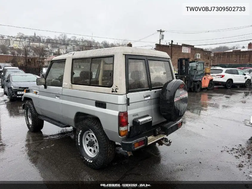 1989 Toyota Landcruiser VIN: TW0V0BJ7309502733 Lot: 45602434