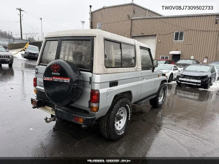 1989 Toyota Landcruiser VIN: TW0V0BJ7309502733 Lot: 45602434