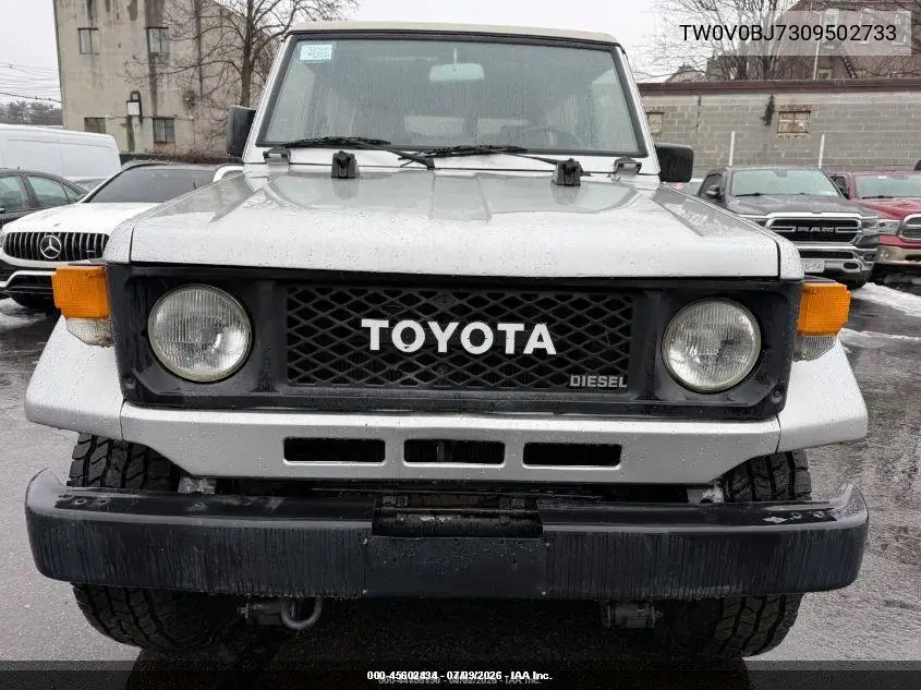 1989 Toyota Landcruiser VIN: TW0V0BJ7309502733 Lot: 45602434
