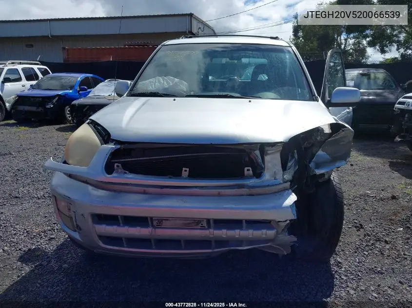JTEGH20V520066539 2002 Toyota Rav4