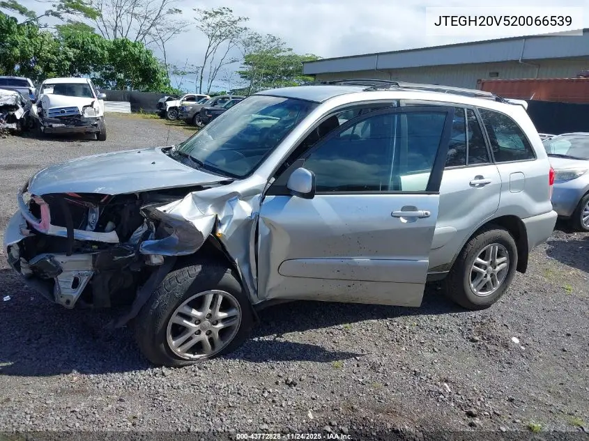 JTEGH20V520066539 2002 Toyota Rav4
